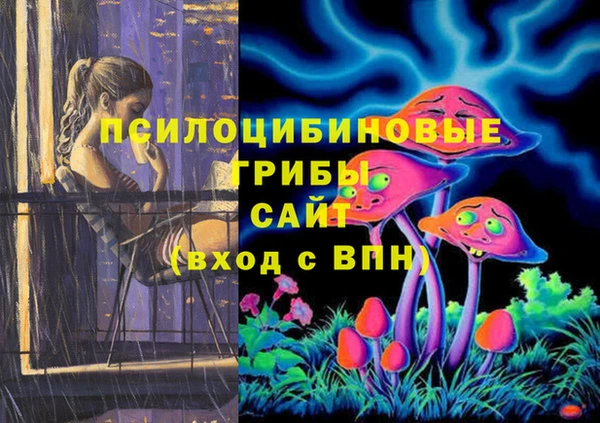 мяу мяу мука Заводоуковск