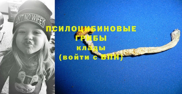 мяу мяу мука Заводоуковск