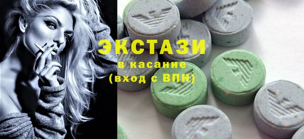 дживик Ельня