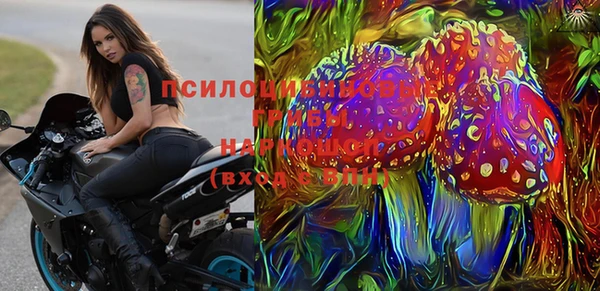 соль ск Елабуга