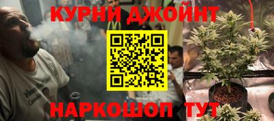 шишки Пугачёв