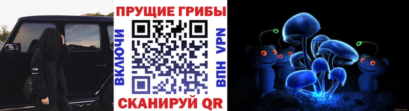 blacksprut ONION  Самара  Галлюциногенные грибы мухоморы 